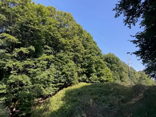 Unit 14 Ranch, Bellaire, MI 49615