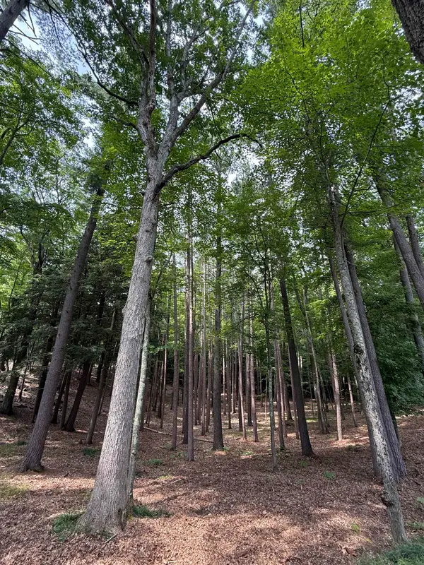 000 Albert Courtade RD, TraverseCity, MI 49696