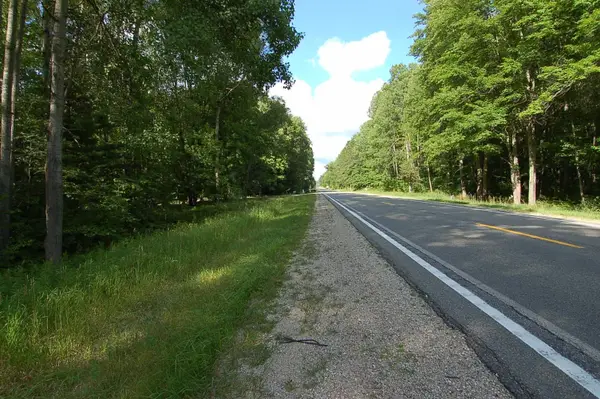 6800 S M-37, Harrietta, MI 49638