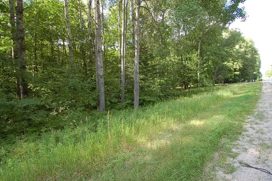 6800 S M-37, Harrietta, MI 49638 - #2