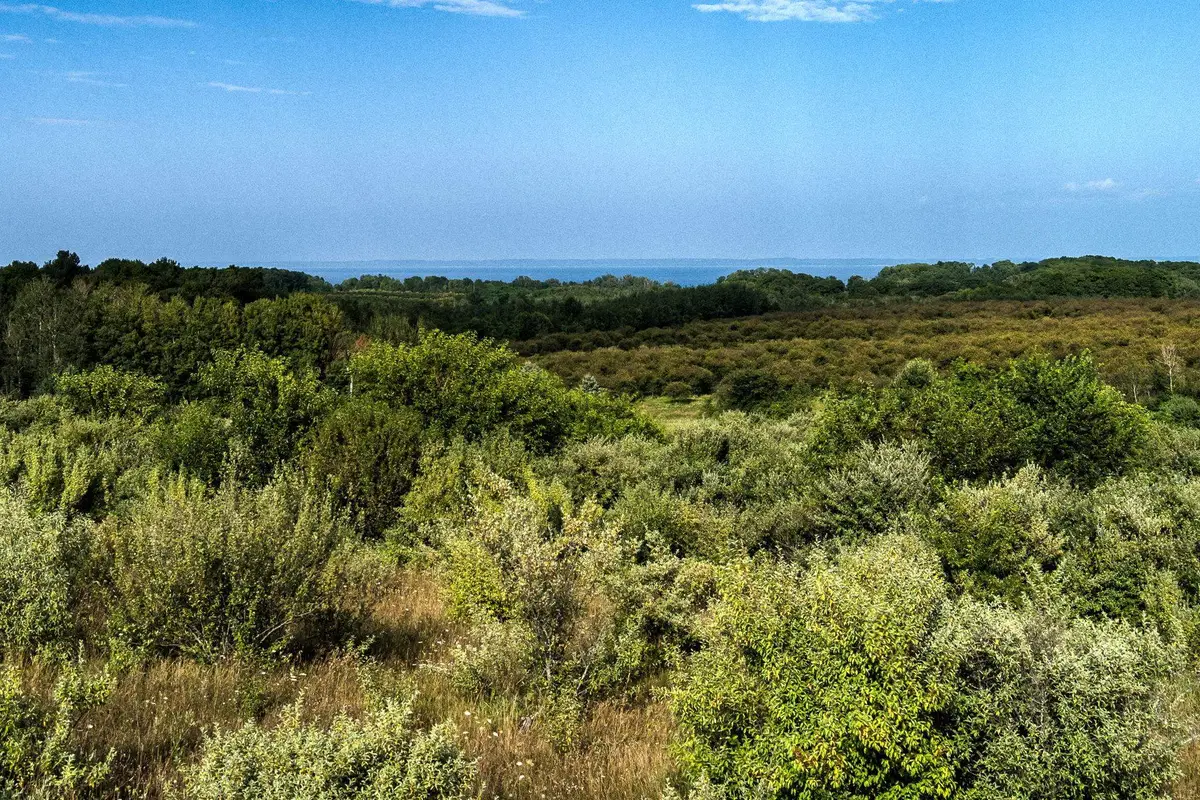 S Overlook, Northport, MI 49670 - #1