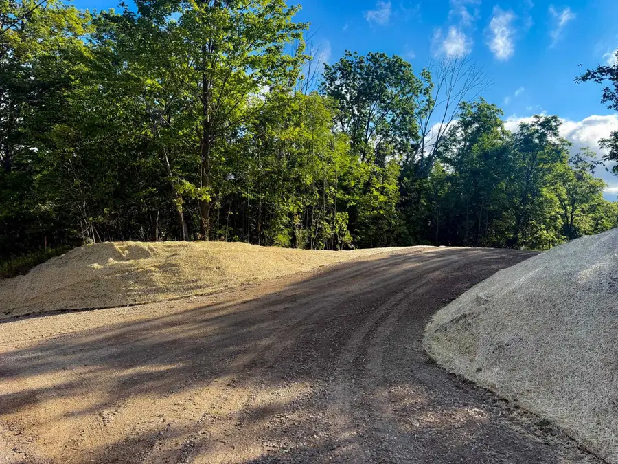 Parcel 4 E Darga, Cedar, MI 49621 - #2
