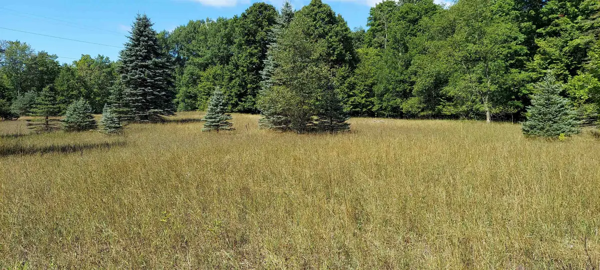 3623 DB, Bellaire, MI 49615 - #1