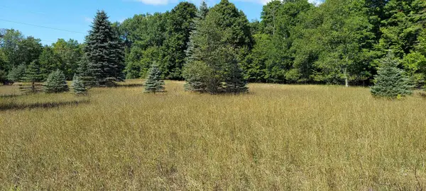 3623 DB, Bellaire, MI 49615