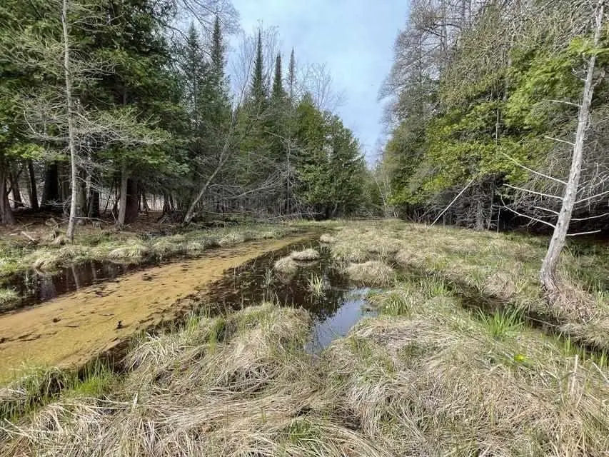 TBD Cody LN, Kalkaska, MI 49646 - #2