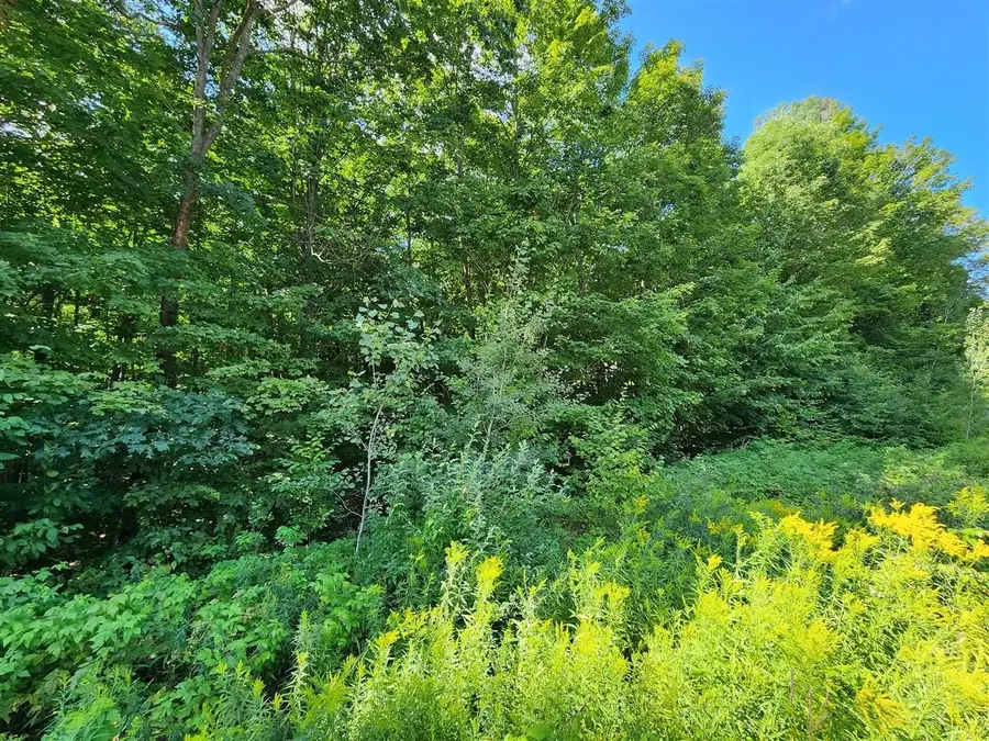 VL Cedar Valley Ridge, Long Lake, MI 49684 - #2
