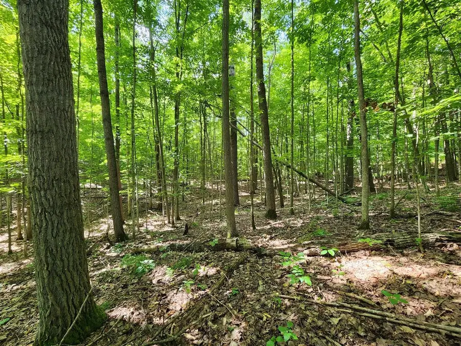VL Cedar Valley Ridge, Long Lake, MI 49684 - #3