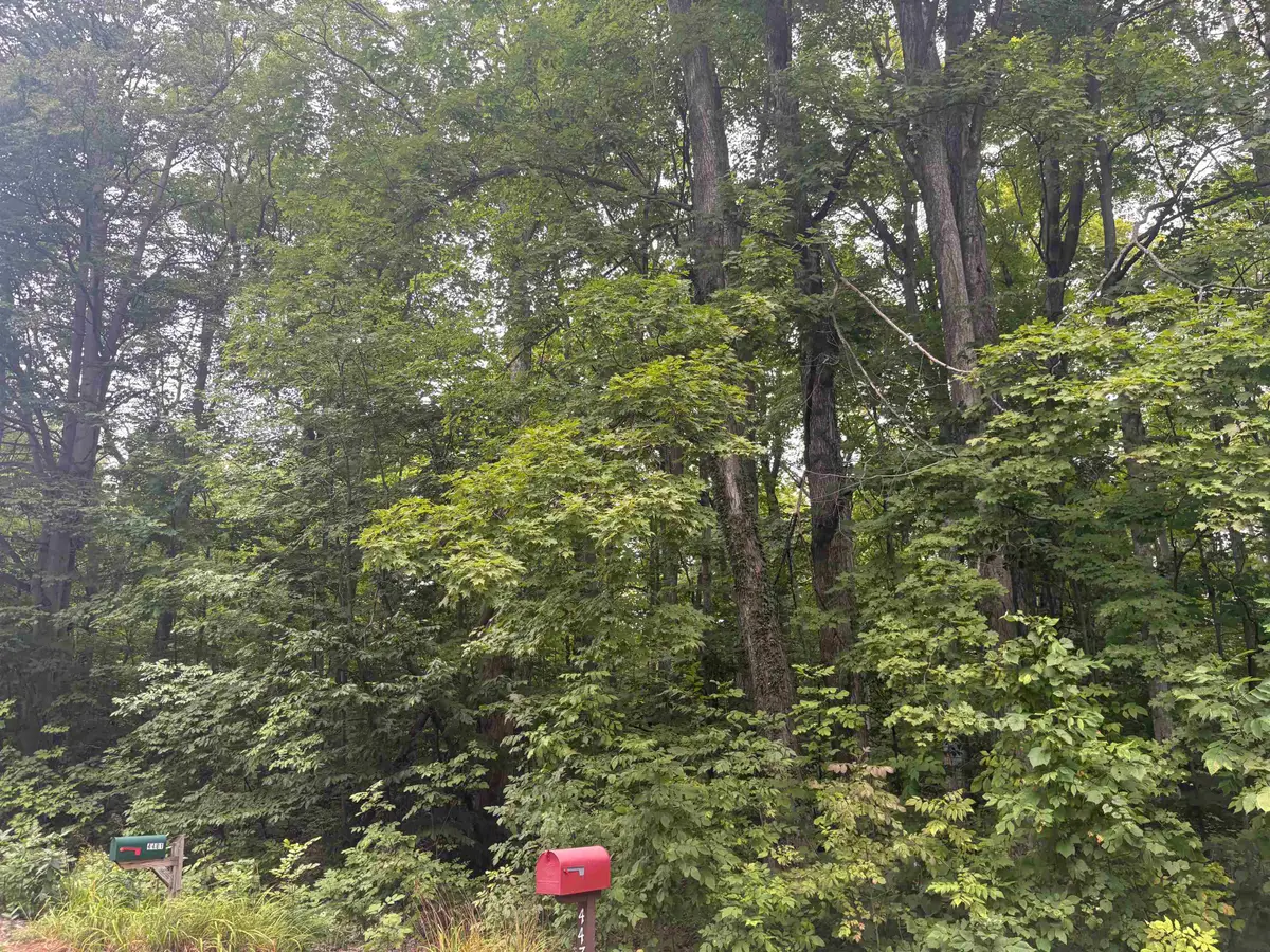 S Hemlock, Frankfort, MI 40621 - #1