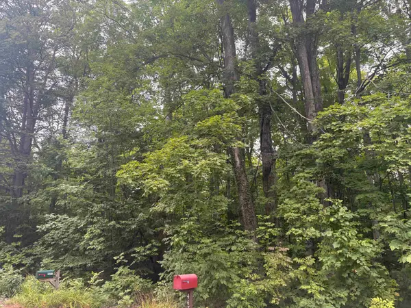 S Hemlock, Cedar, MI 40621