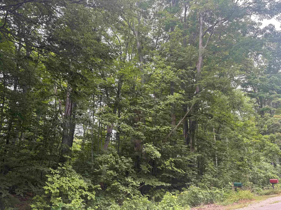 S Hemlock, Frankfort, MI 40621 - #2