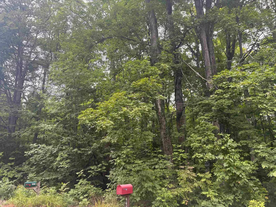 S Hemlock, Frankfort, MI 40621 - #3