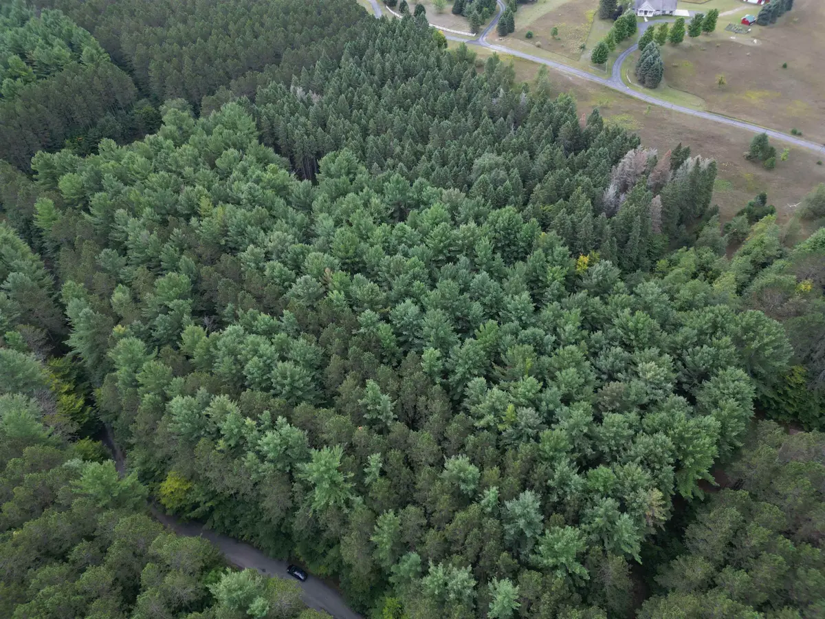 0000 W Timber LN, Empire, MI 49630 - #1