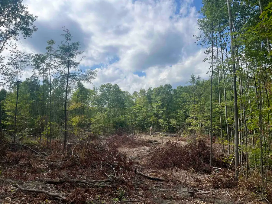7 Mile RD, Norwich, MI 49651 - #3