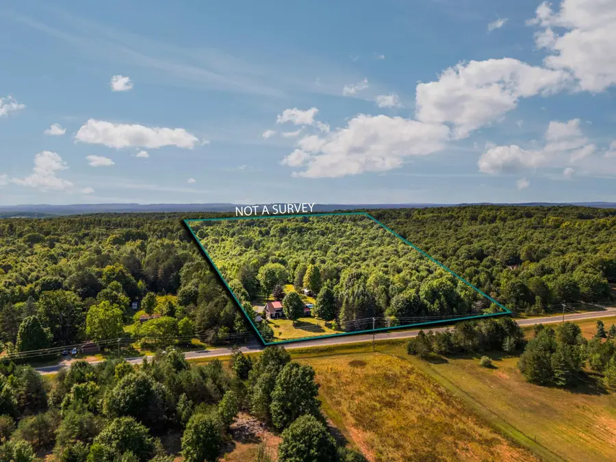 18218 Litzen RD, Copemish, MI 49625 - #2