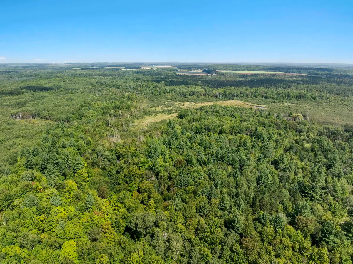4517 SE Pierson Creek, Kalkaska, MI 49646 - #1