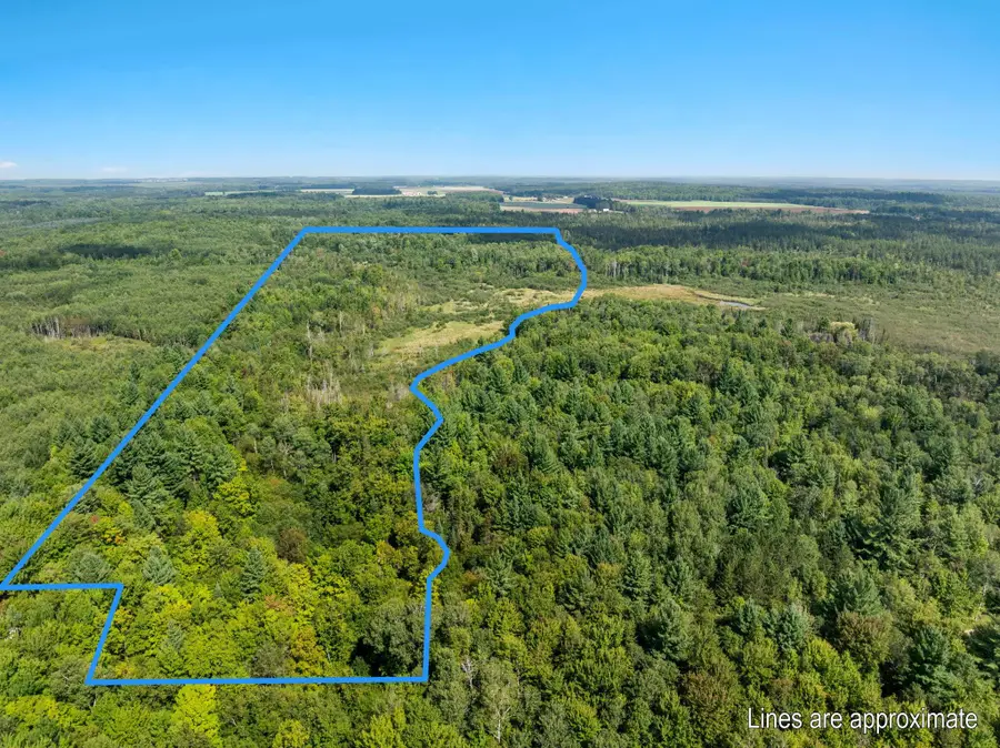 4517 SE Pierson Creek, Kalkaska, MI 49646 - #2