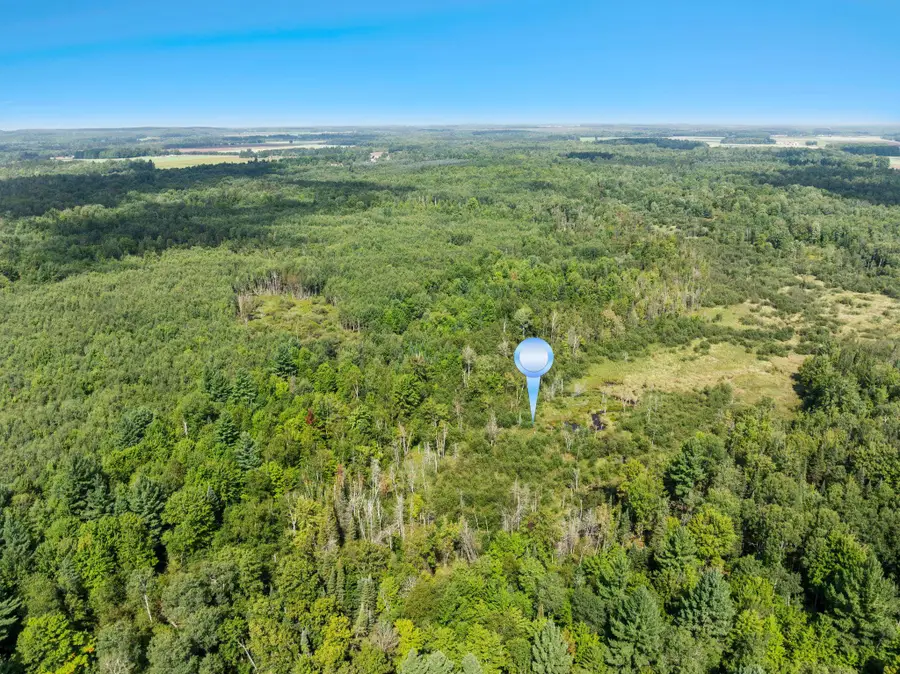 4517 SE Pierson Creek, Kalkaska, MI 49646 - #3