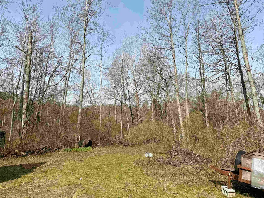 820 E Boardman Acres, Blair, MI 49696 - #2