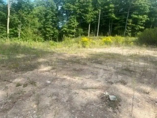 9666 Highland Park DR, Beulah, MI 49617 - #2