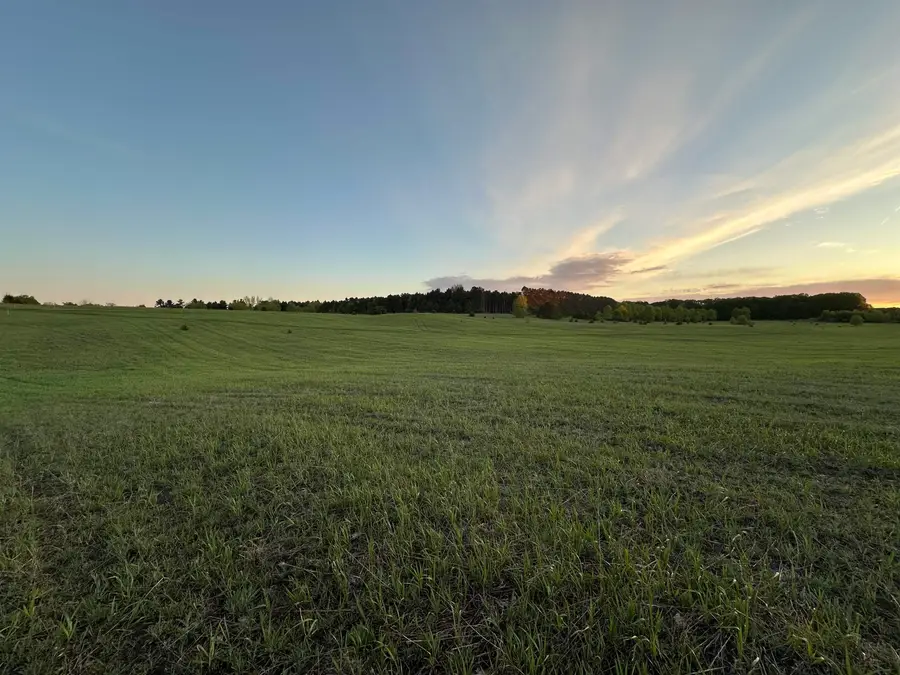 10 acres V/L Honor, Interlochen, MI 49643 - #2