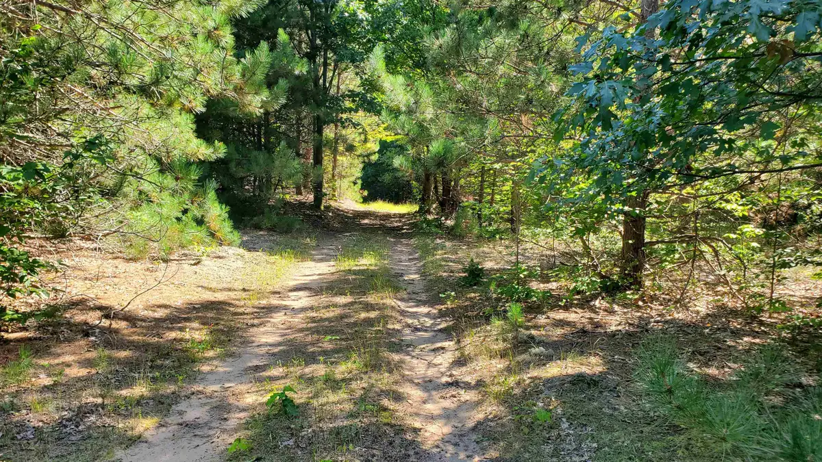 00 Marilla RD, Copemish, MI 49625 - #1