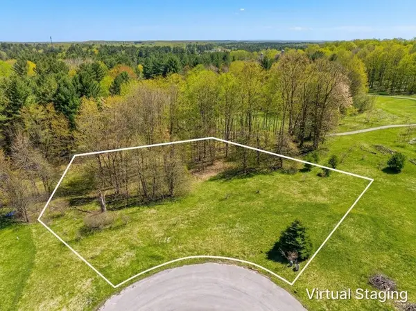 00 Cameron CT, LakeAnn, MI 49650