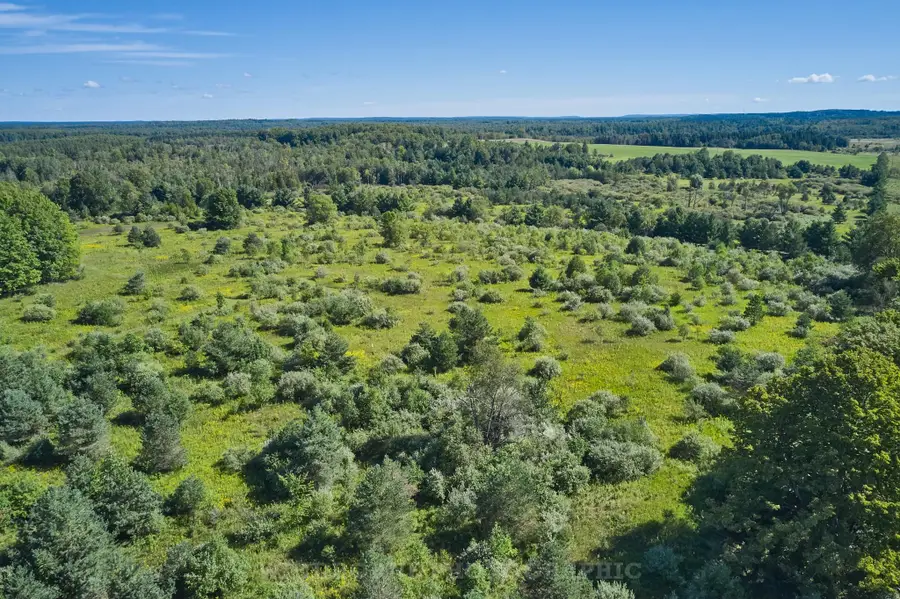 23.43 acres N 35 RD, Manton, MI 49663 - #2