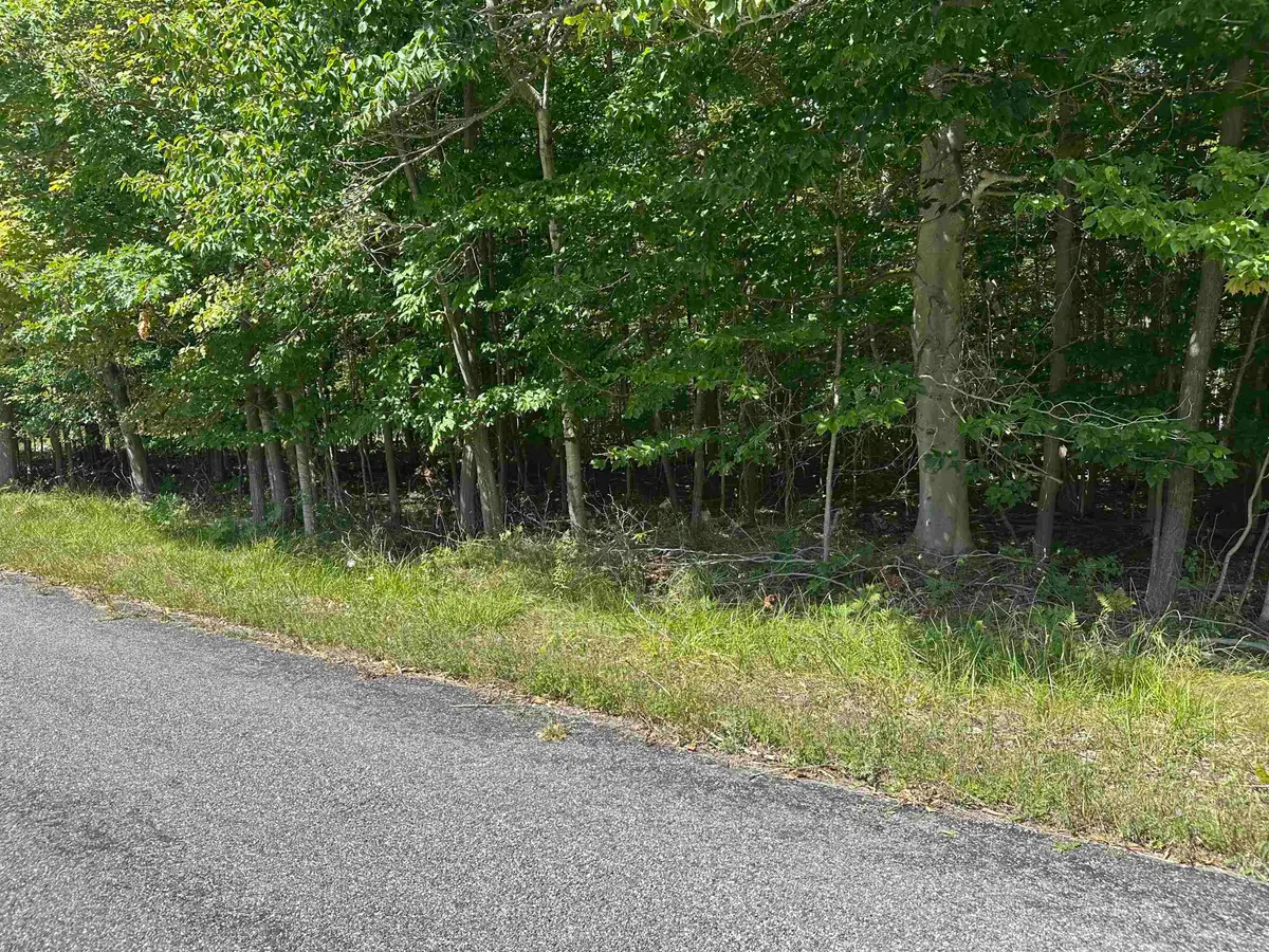 Lots 33, Kewadin, MI 49648 - #1