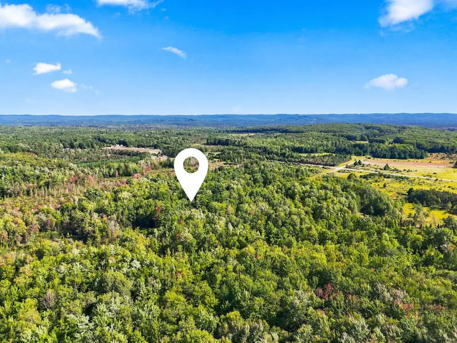 11712 Henschell, Fife Lake, MI 49633 - #3