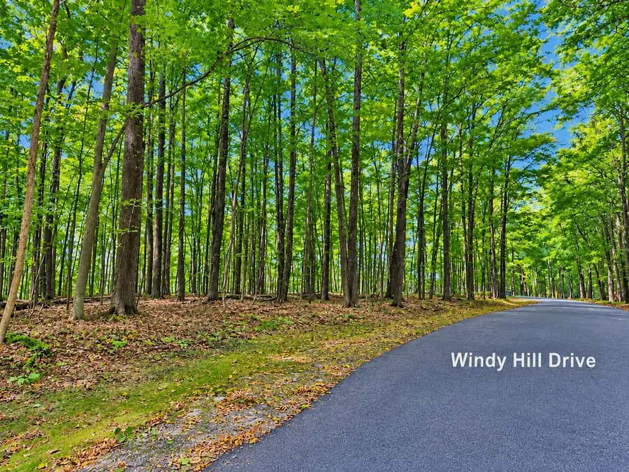 00 Windy Hill, Bellaire, MI 49615 - #2