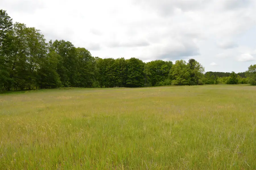 L Summit City RD, Kingsley, MI 49649 - #3