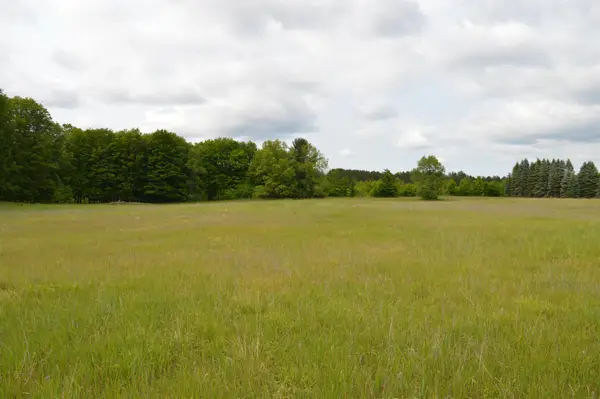 N Summit City RD, Kingsley, MI 49649