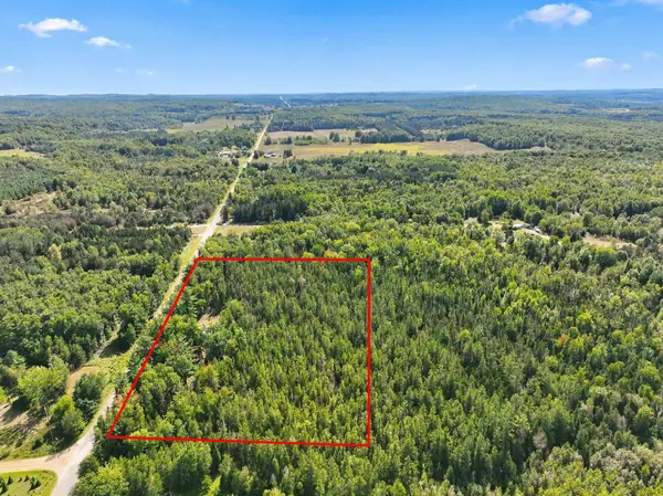 8929 N Morey, Manton, MI 49663