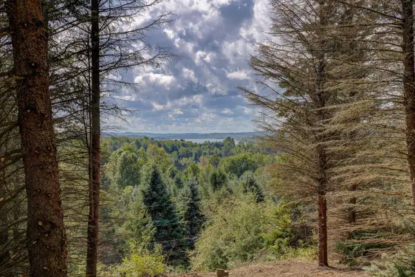 N Eagle, LakeLeelanau, MI 49653