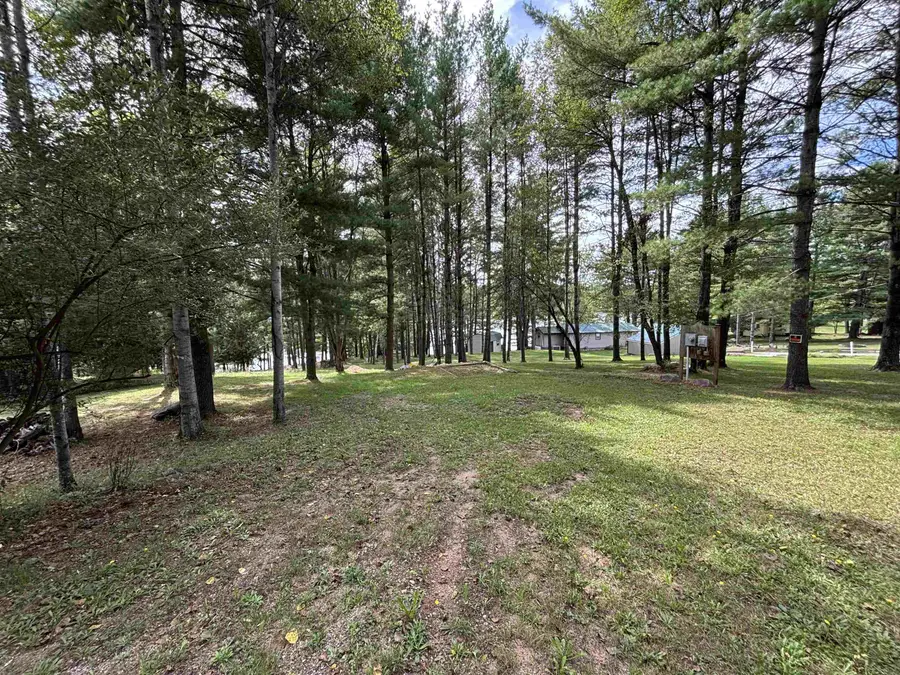 8111 Lake Lure, Evart, MI 49631 - #2