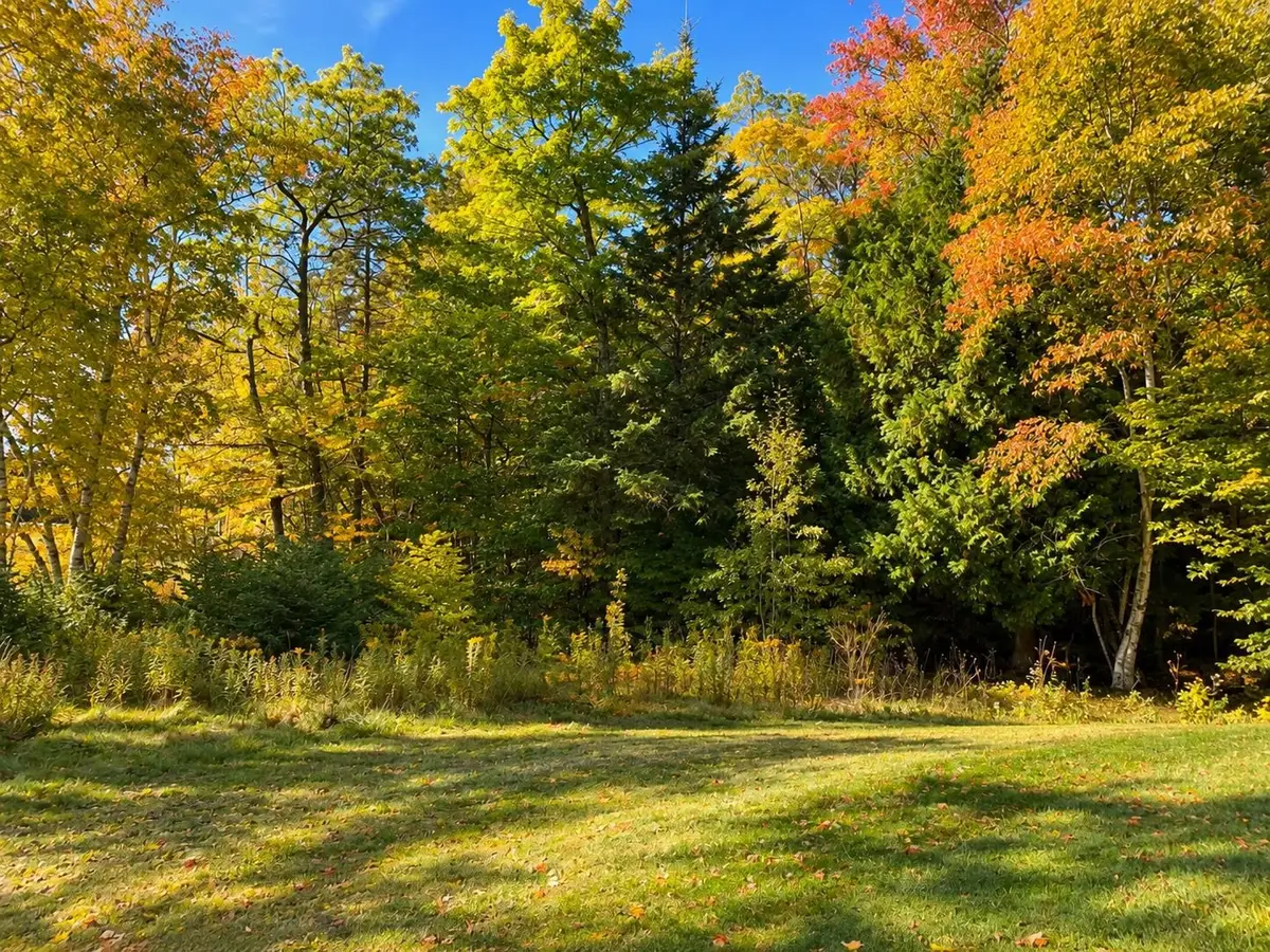 000 Spruceview, Mackinac Island, MI 49757 - #1