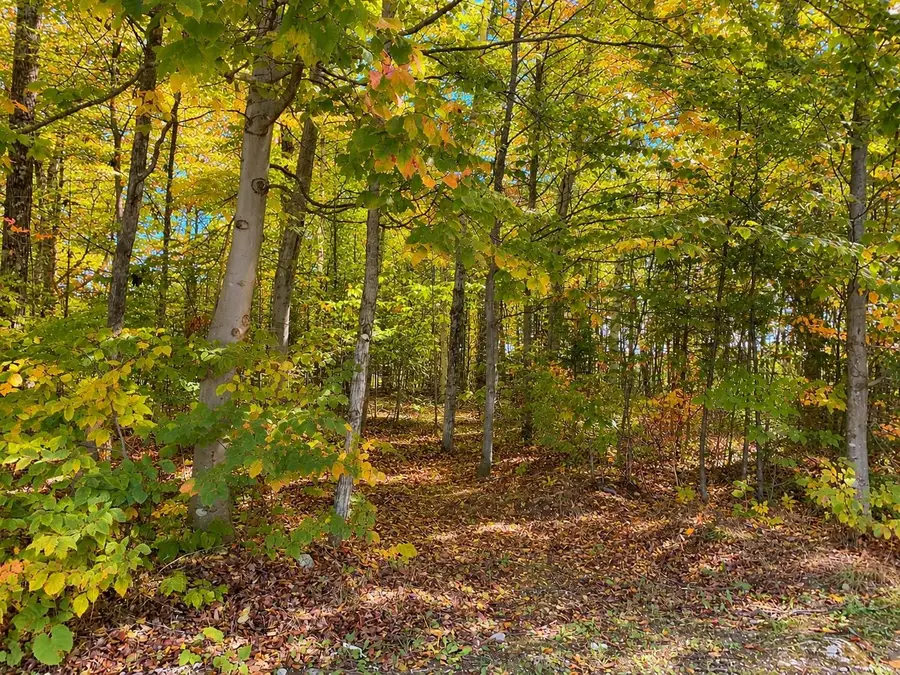 000 Spruceview, Mackinac Island, MI 49757 - #2