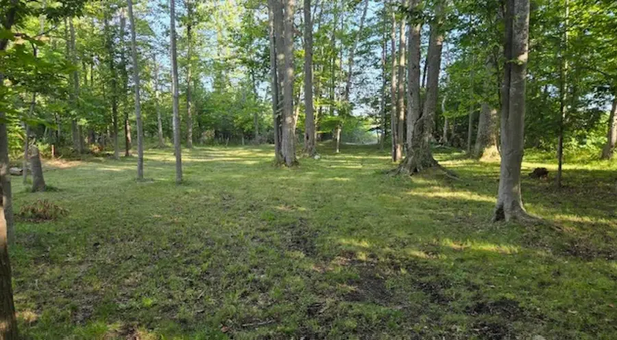 I-3 Partridge, Elkrapids, MI 49629 - #2