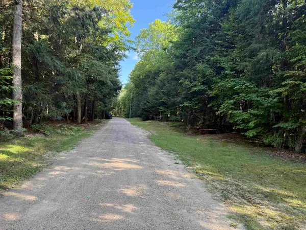 3576 Wildwood LN, Kewadin, MI 49648