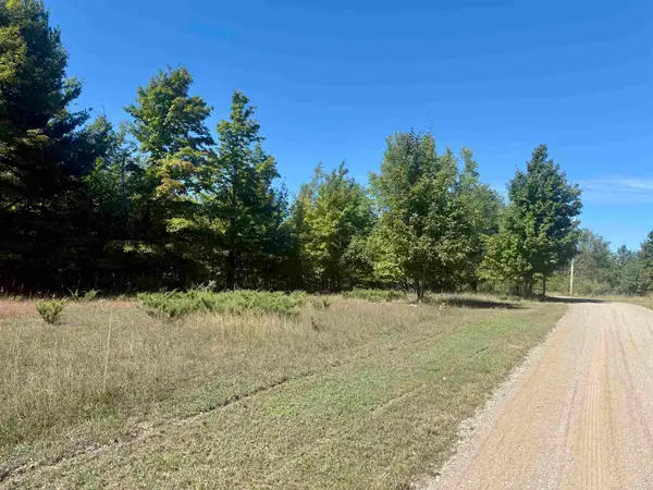 000 W Hlavka, MapleCity, MI 49664