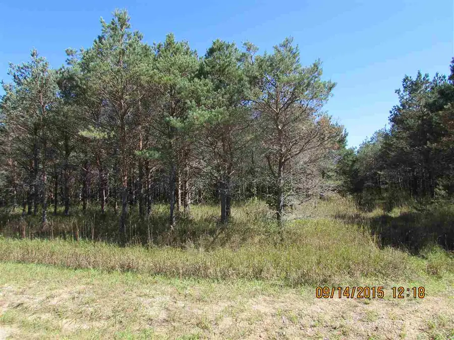431 Kleehammer Club, Kalkaska, MI 49646 - #3