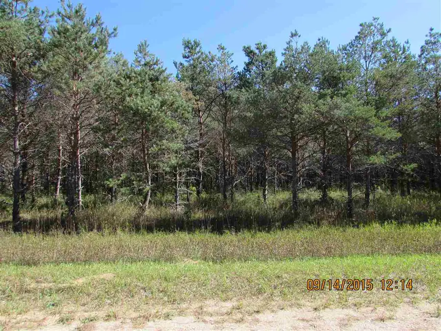 411 Kleehammer Club, Kalkaska, MI 49646 - #3