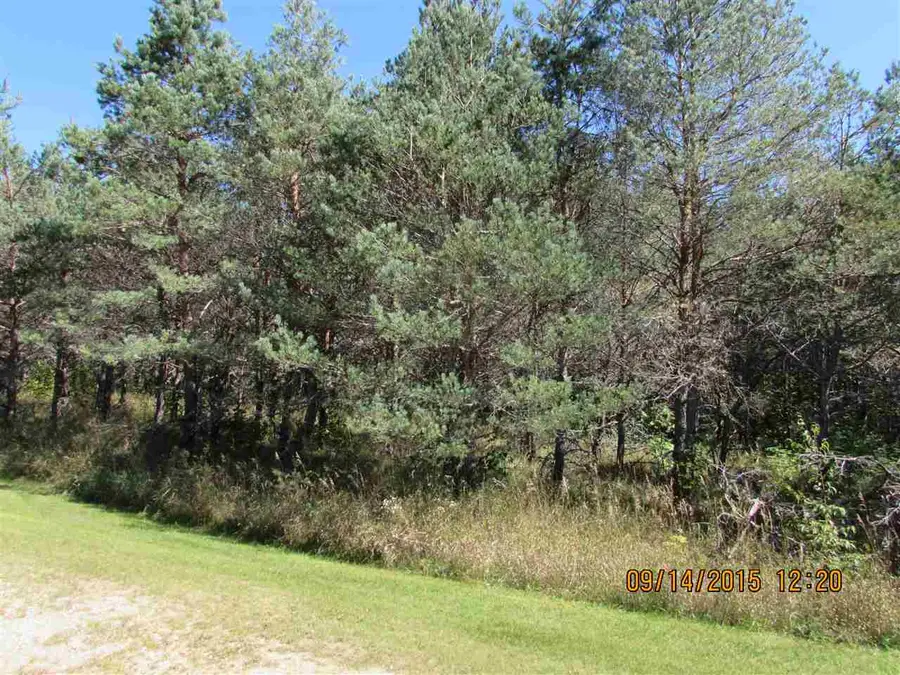 451 Kleehammer Club, Kalkaska, MI 49646 - #2