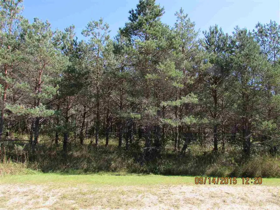 451 Kleehammer Club, Kalkaska, MI 49646 - #3