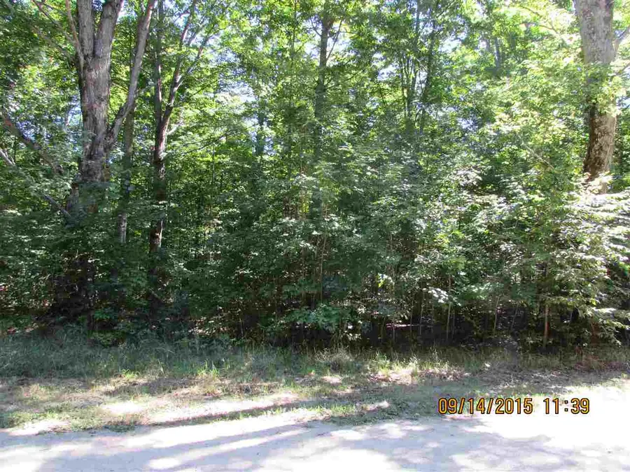 120 Kleehammer Club, Kalkaska, MI 49646 - #2