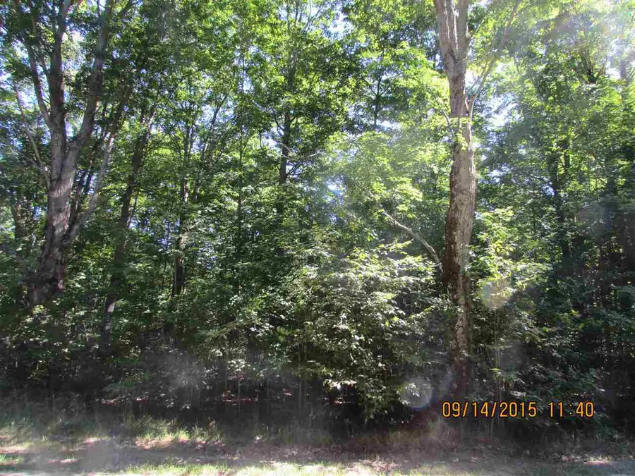 120 Kleehammer Club, Kalkaska, MI 49646 - #3