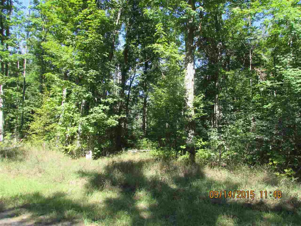 231 Kleehammer Club, Kalkaska, MI 49646 - #1