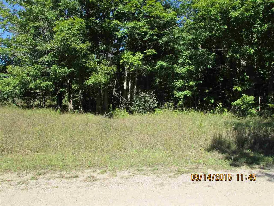 191 Kleehammer Club, Kalkaska, MI 49646 - #2