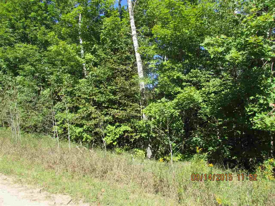 251 Kleehammer Club, Kalkaska, MI 49646 - #3
