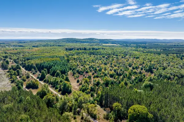 00 Landis, Thompsonville, MI 49683